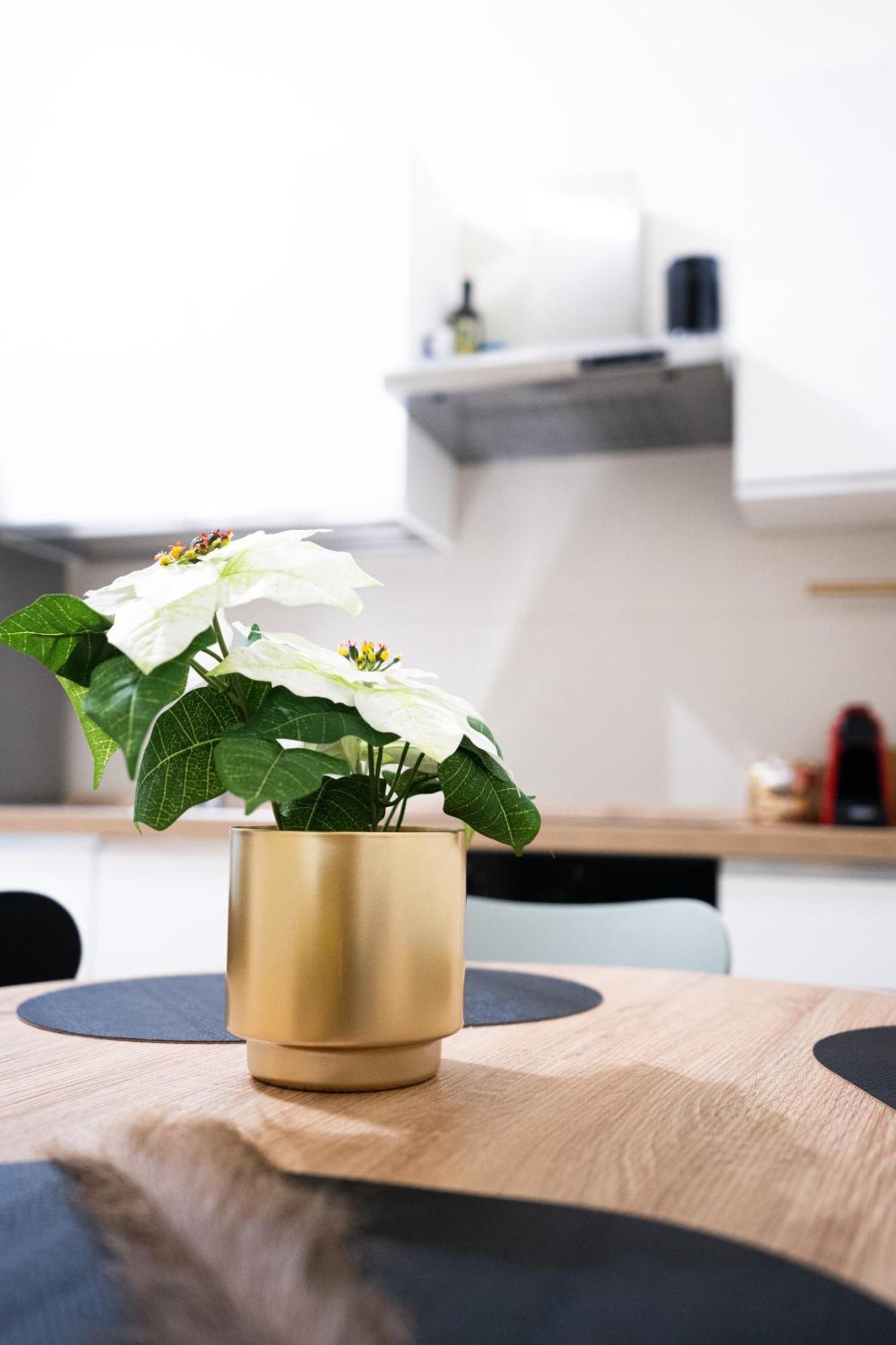 Escape - 2 Bedrooms Apartment